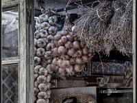 DSC 2012 Rethymnon. Creta